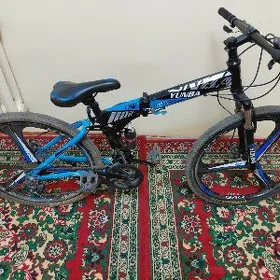 Tigir sport