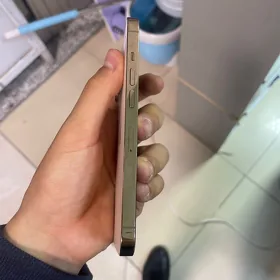13pro