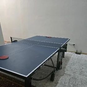 stol tennis