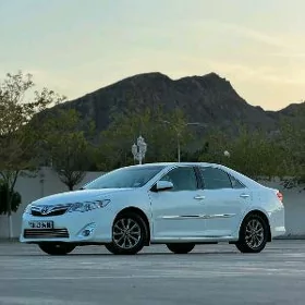 Toyota Camry 2013