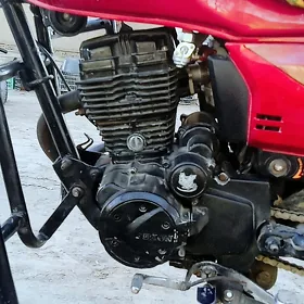 Fekon FK150-8G 2017