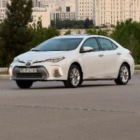 Toyota Corolla 2019
