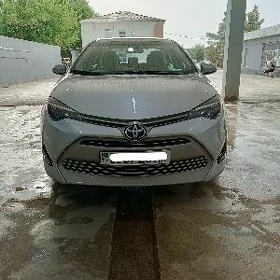 Toyota Corolla 2019