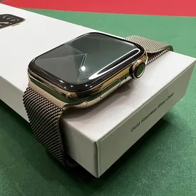 apple watch 6 stainles steel