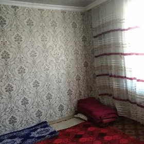 zaton daca