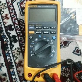 Fluke