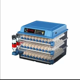 inkubator