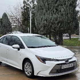 Toyota Corolla 2024