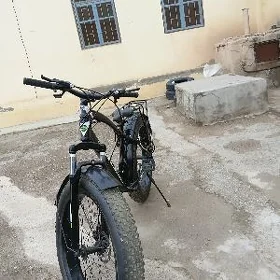 Tigir
