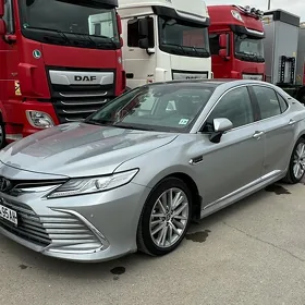 Toyota Camry 2024