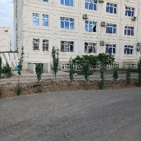 Podwal