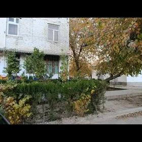 6 Mkr. Satlyk jay