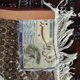 eyran haly