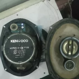 Kenwot kalonka
