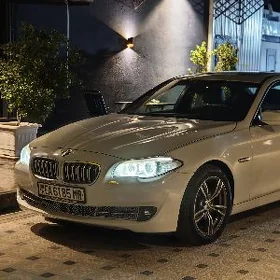 BMW F10 2010