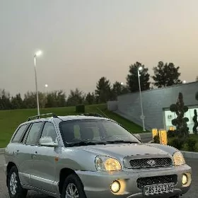 Hyundai Santa Fe 2004