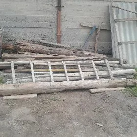 Tagtalar