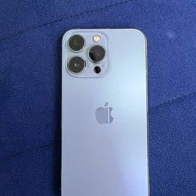 13pro
