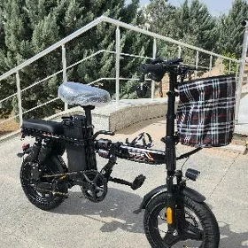 TIGIR HADINOK SAMAKAT BASEYKA