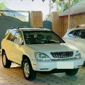 Lexus amesatyr purzin