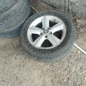 16lyk tigir disga