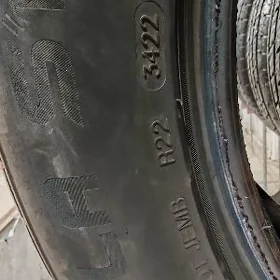 245 55 19