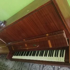 ПИЁНИНА. СССР. РОССИЯ