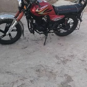 Fekon FK150-8G 2024