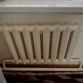Çoýun batareylary