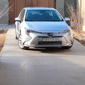 Toyota Corolla 2021