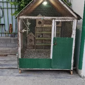Kepderi ketek
