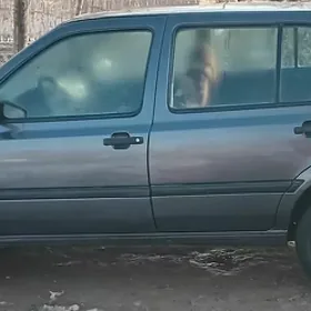 Volkswagen Vento 1993