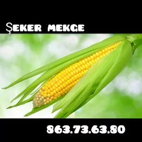 şeker mekge
