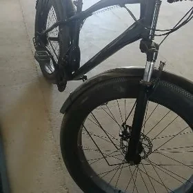 taze tigr baja ayk