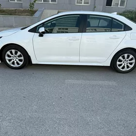 Toyota Corolla 2024