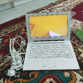 Lenovo s20.30