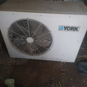 çiller kastaner