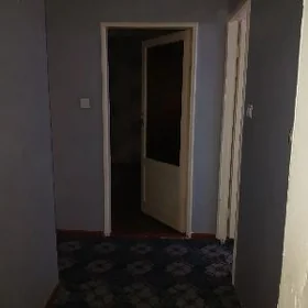 satlyk kwartira