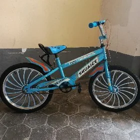 20-lik tigir