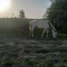 At