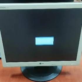 Monitor LG 1917S