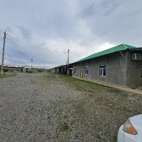 satlyk ferma
