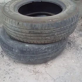 13 pokryşka