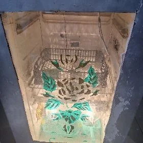 incubator