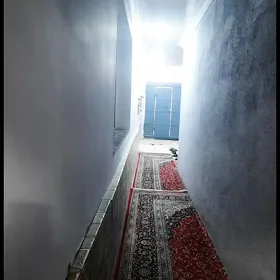 Ak Altyn plan howly
