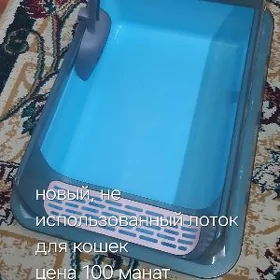 лоток для кошек