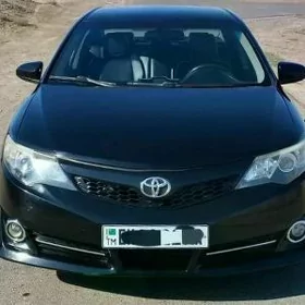 palta camry kapot