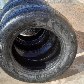 Rotalla