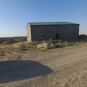 satlyk ferma ýeri
