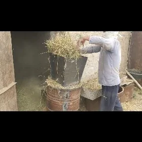 От овейан.